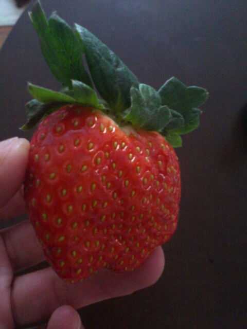 strawberry